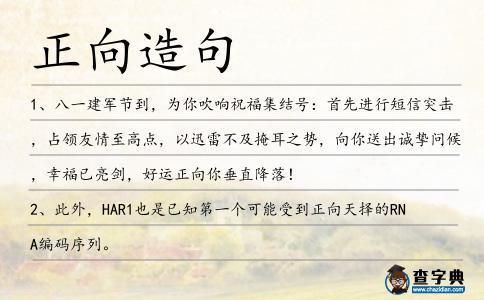 正向造句