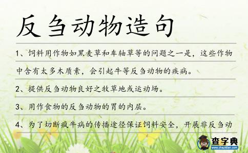 反芻動物造句