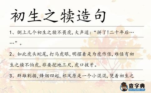 初生之犢造句