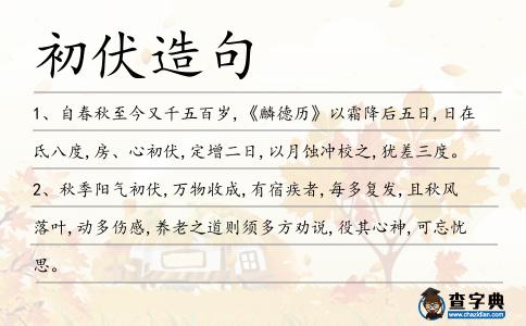 初伏造句