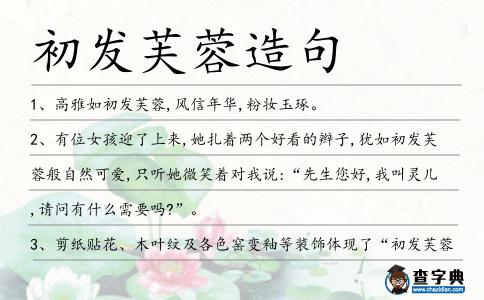 初發芙蓉造句