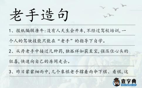 老手造句