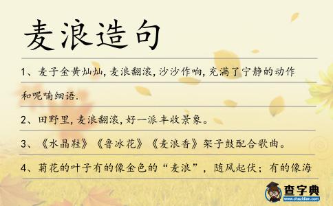麥浪造句