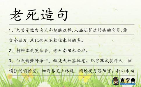 老死造句
