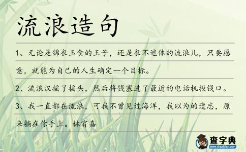 流浪造句