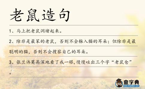 老鼠造句