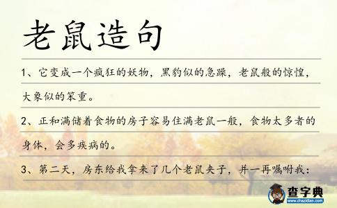 老鼠造句