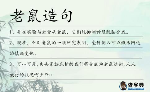 老鼠造句