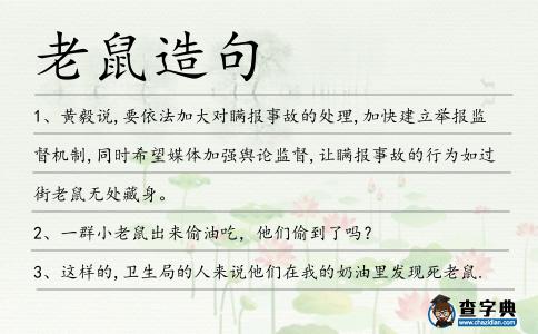 老鼠造句
