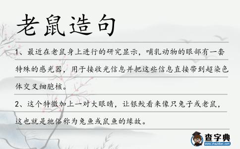 老鼠造句