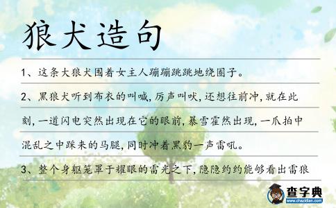 狼犬造句