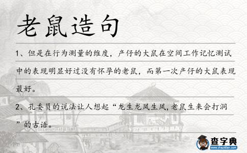 老鼠造句