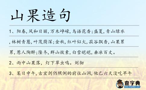 山果造句