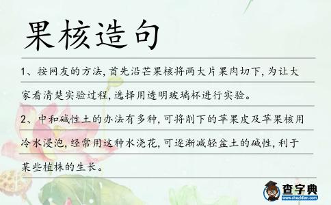 果核造句