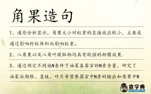 角果造句