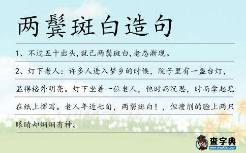 兩鬢斑白造句