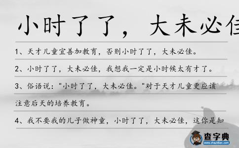 小時了了，大未必佳造句