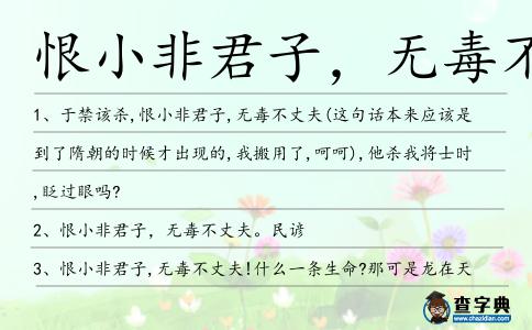恨小非君子,無毒不丈夫造句