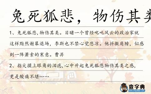 兔死狐悲，物傷其類造句