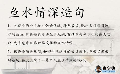 魚水情深造句