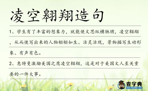 凌空翱翔造句