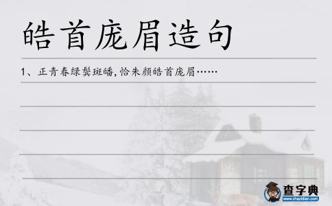 皓首龐眉造句