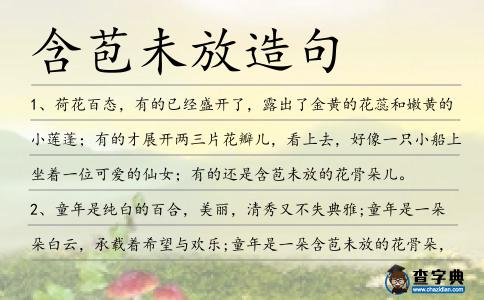 含苞未放造句