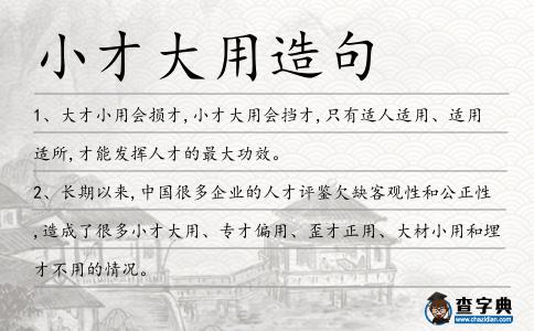 小才大用造句