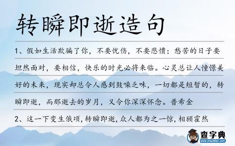 轉瞬即逝造句