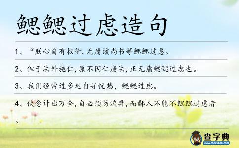鰓鰓過(guò)慮造句