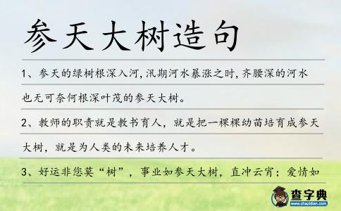 參天大樹造句
