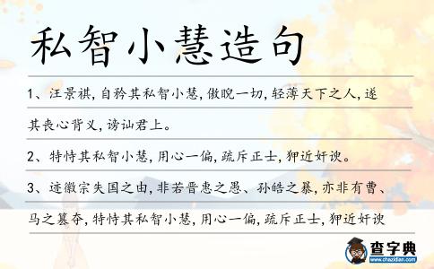 私智小慧造句