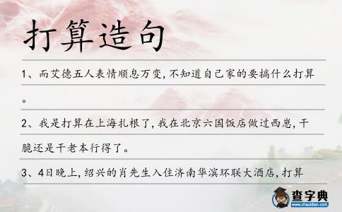 打算造句