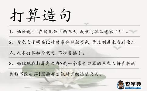 打算造句