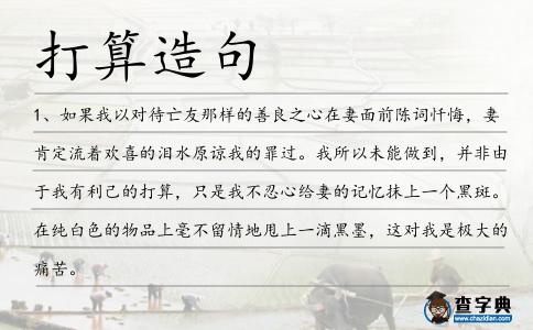 打算造句