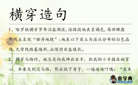 橫穿造句