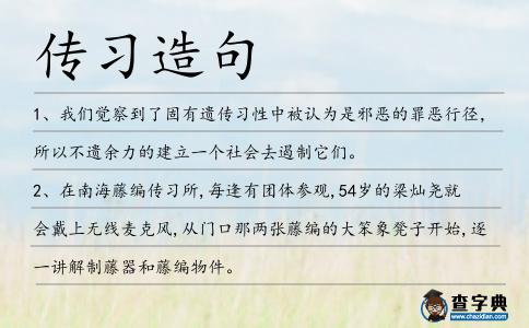 傳習造句