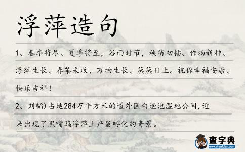 浮萍造句