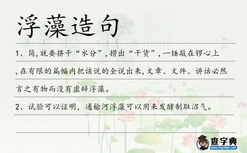 浮藻造句