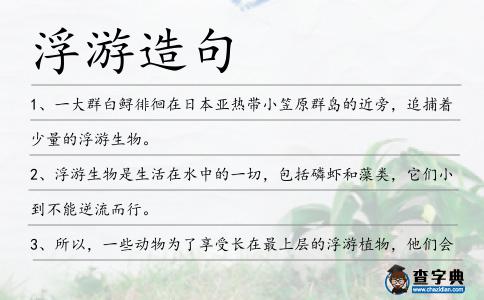 浮游造句