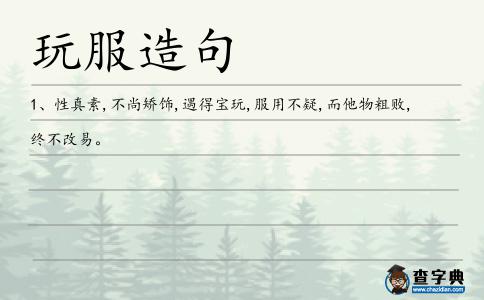 玩服造句