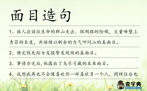 面目造句