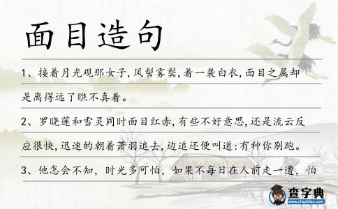 面目造句