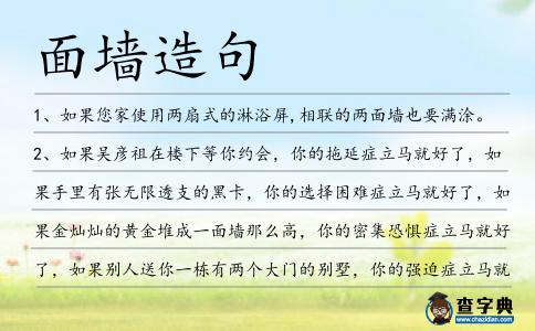 面墻造句