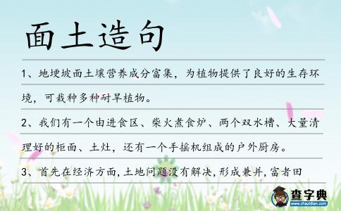 面土造句