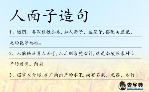 人面子造句