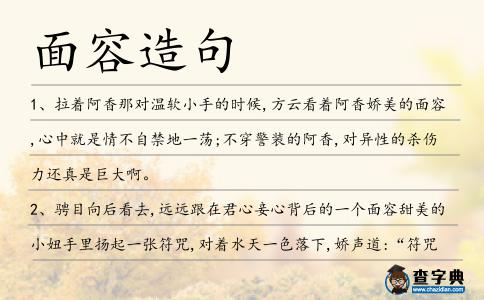面容造句