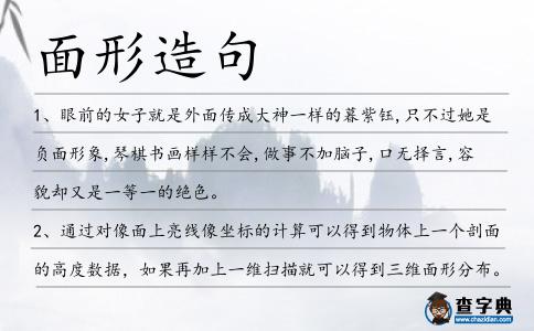 面形造句