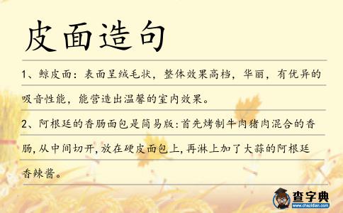 皮面造句