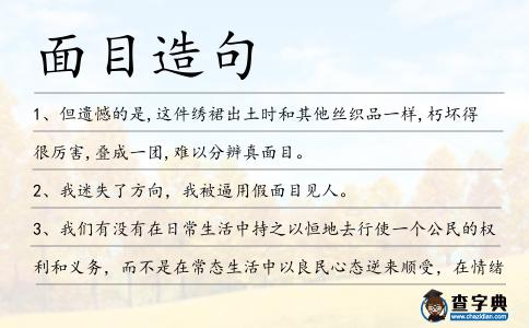 面目造句